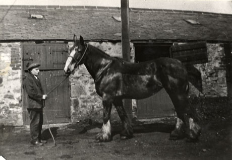 Photograph showing a horse standing in front of a low stable building with the doors to two stables in view; a man is standing holding the horse by a rein; the horse is standing sideways to the camera; the man, also standing with his profile to the camera, is wearing a suit and a cap; he has been identified as Mr. Holbourn, Head Horse Keeper, South Hetton Colliery