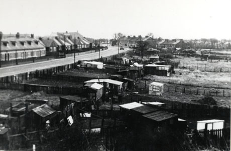 Photograph showing a road in the background of the picture, with what may be a school and semi-detached houses along one side of it; in the foreground, on the opposite side of the road from the houses, are allotments; the road has ben identified as Hawthorn Terrace, South Hetton