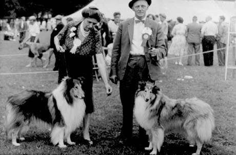 Photograph showing a woman dressed in a blouse and skirt standing with a man dressed in a suit with a bow tie; both are also wearing rosettes; in front of them are two long-haired collie dogs; behind them the backs of a crowd of people and a woman leading a Boxer dog can be seen; the man has been identified as Mr. J. D. Purvis, International Show Judge at South Hetton