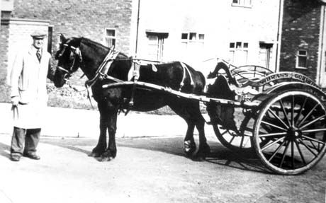 Photograph showing a man in an overall on the left of the picture holding the head of a horse which is harnessed to a two-wheeled cart, on which the words S. Brass can be discerned; behind the man, horse and cart are semi-detached houses; the photograph has been identified as Stan Brass With Milk Cart, Thornley
