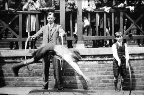 Photograph showing a man wearing a suit and tie with his back to a raised walkway holding two hoops through which the blurred figure of a boy is leaping; another boy is standing on the right of the picture, wearing a suit with short trousers, holding another hoop; the photograph as been identified as showing a physical training display at Thornley Council School