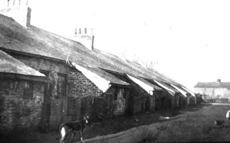 Photograph showing the rear of a terrace of six single-storey houses, with fence and lean-to; in the distance is the facade of two houses; the photograph has been described as Slum Clearance, Thornley