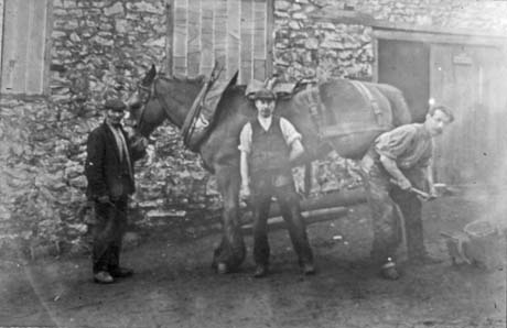 Photograph showing a horse standing sideways to the camera, with a man at its head holding its bridle, a man standing with his back to it in front of its body and a man holding its hind leg and applying a tool to its hoof; behind the horse and the men is a roughly built wall with two windows and a large wooden door; the men are wearing work clothes of waistcoat, shirt sleeves and cap; they have been identified as being outside the blacksmith's shop in Wingate