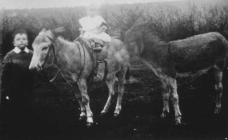 Photograph giving an indistinct image of two donkeys with a small girl, aged approximately three years, on the back of the one on the left, which is being held by a small boy aged approximately seven years; they have been identified as donkeys belonging to Mr. W. Preston; the small boy has been identified as his son Tom and the photograph has been identified as being taken in Trimdon Foundry