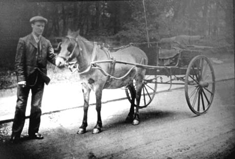 Photograph showing a man holding the bridle of a pony harnessed to a two-wheeled cart; the man is dressed in a suit, tie and cap and is facing the camera; the pony is standing sideways to the camera; the photograph has been identified as Banty and Trap, Wingate